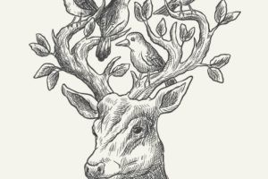 Drawing and Shading: Complete Course